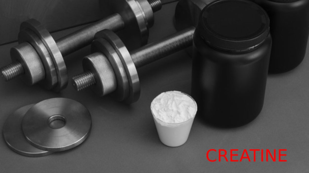 Creatine: The rule of activity, who needs it, how to take it? Benefits & Risks